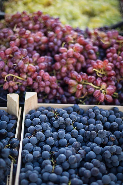 Uvas en el mercado — Foto de Stock