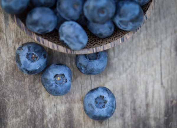 Bosbessen in tuin — Stockfoto