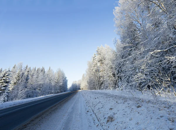 Route forestière d'hiver russe dans la neige Photo De Stock