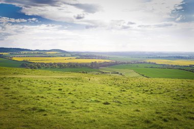 Mükemmel güneşli yaz manzara
