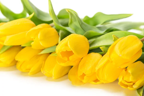 Yellow tulip flowers — Stock Photo, Image