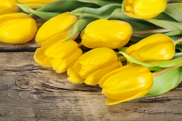 Flores amarelas da tulipa — Fotografia de Stock