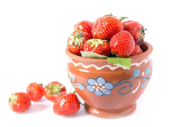 Taze stawberry — Stok fotoğraf