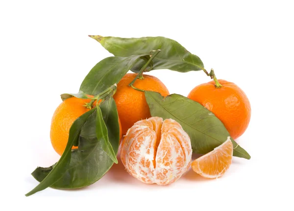 Cítricos frutos de mandarina sobre fondo blanco —  Fotos de Stock