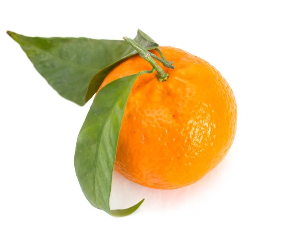 Tangerine citrusfrukter på vit bakgrund — Stockfoto