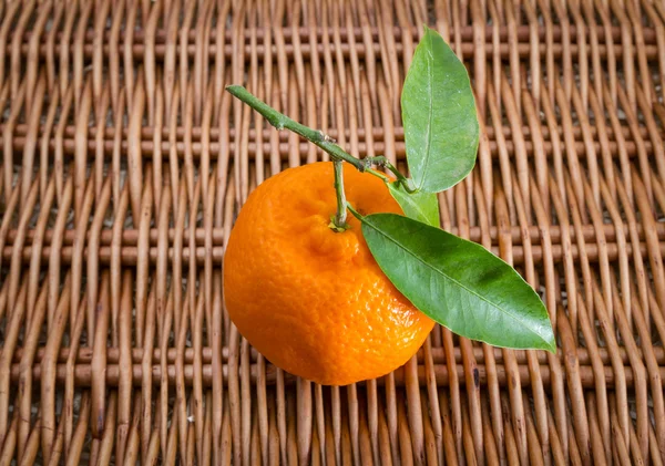 Cítricos de mandarina sobre fondo blanco —  Fotos de Stock