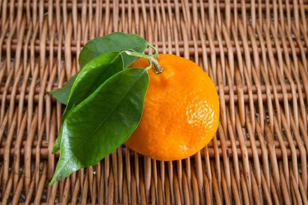 Tangerine Citrus vruchten op witte achtergrond — Stockfoto