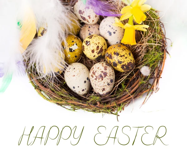 Huevos de Pascua en el nido con narciso — Foto de Stock