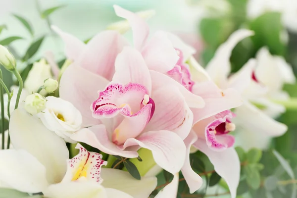 Orchideenblüten — Stockfoto