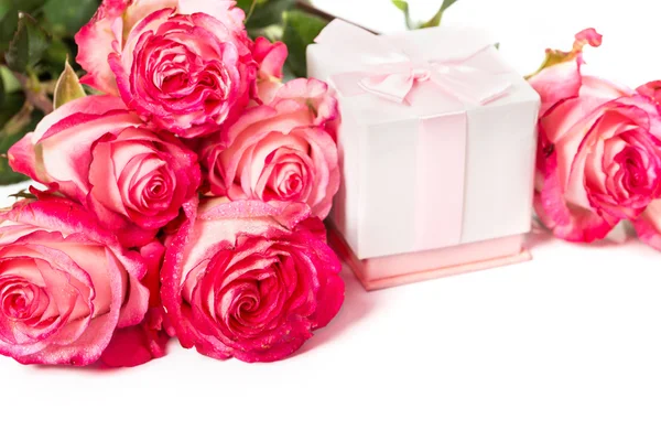 Frische rosa Rosen auf weiß — Stockfoto