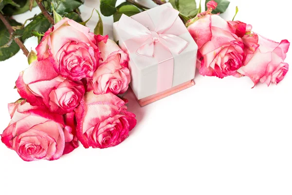 Fresh pink roses on white Stock Photo
