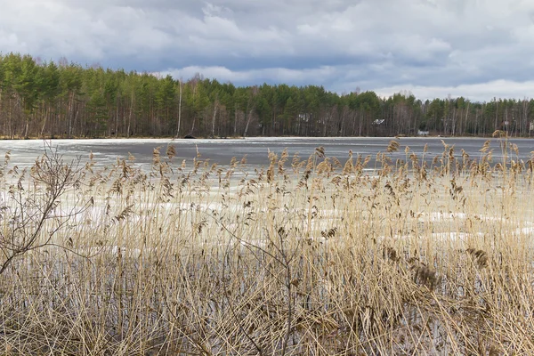 Tidigt på våren med smältande is snö — Stockfoto