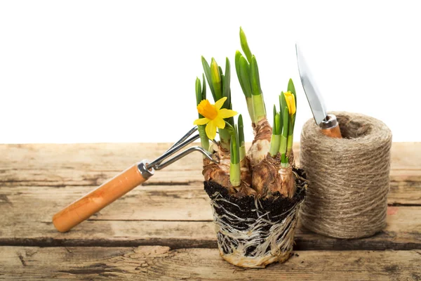 Gardening tools — Stock Photo, Image