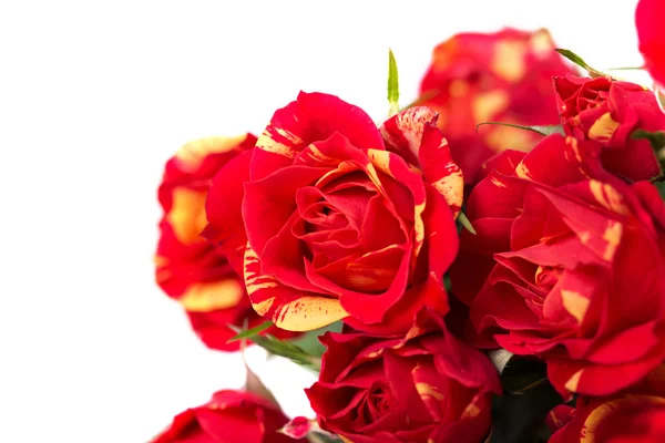 Sfondo rose rosse arrossate — Foto Stock