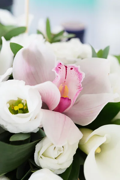 Flores de orquídea de flor — Fotografia de Stock