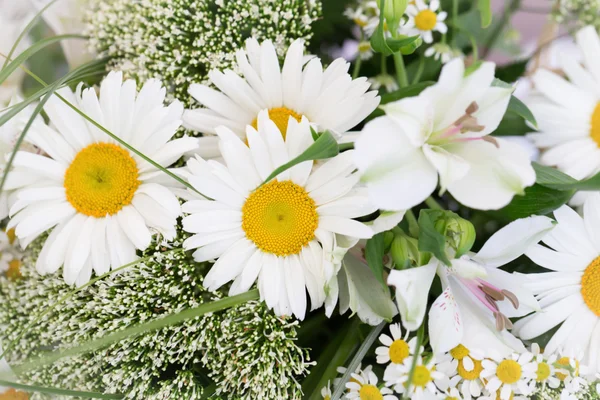 Bouquet de flores margarida — Fotografia de Stock