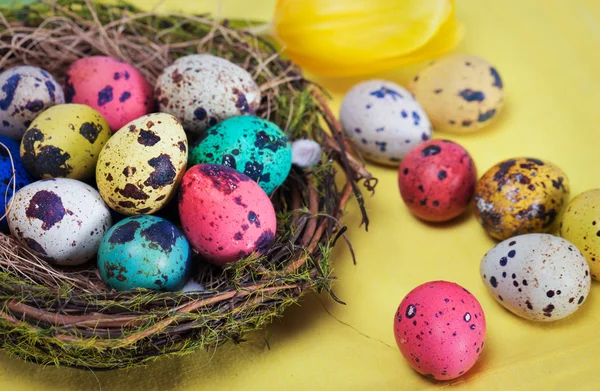 Красочные пасхальные яйца в гнезде — стоковое фото