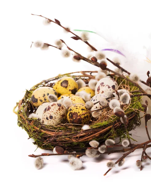Пасхальные яйца в гнезде с нарциссом — стоковое фото