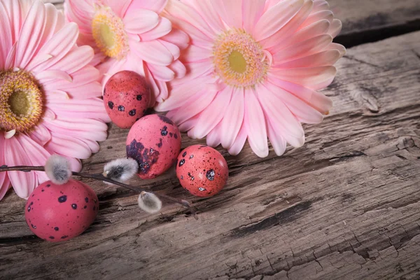 Roze paaseieren met madeliefjebloemen — Stockfoto