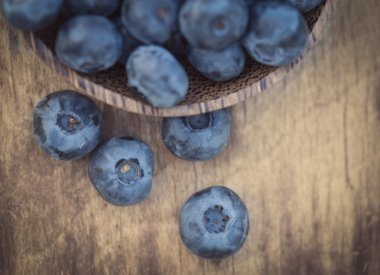 Yaban mersini Bahçe