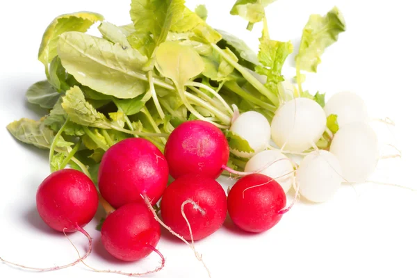 Red and white fresh Radish — Stock Photo, Image