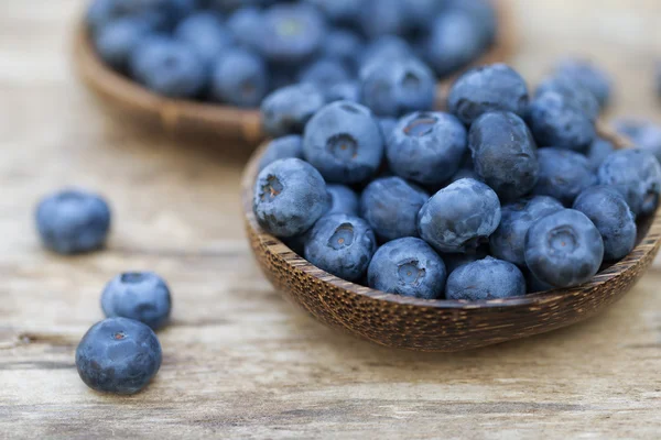 Yaban mersini Bahçe