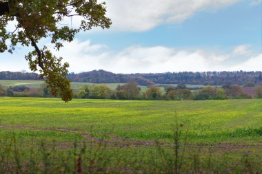 Mükemmel İngilizce güneşli sonbahar manzara