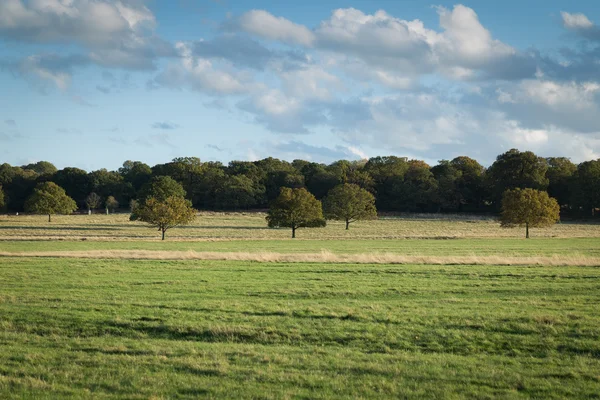 Perfetto paesaggio inglese soleggiato autunno — Foto Stock