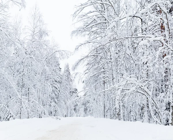 Russische Winterwaldstraße im Schnee — Stockfoto