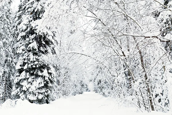 Зимняя дорога в снегу — стоковое фото