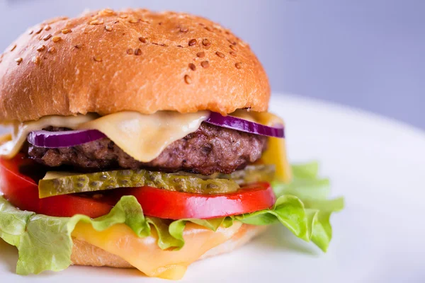 Fresh tasty homemade burger — Stock Photo, Image