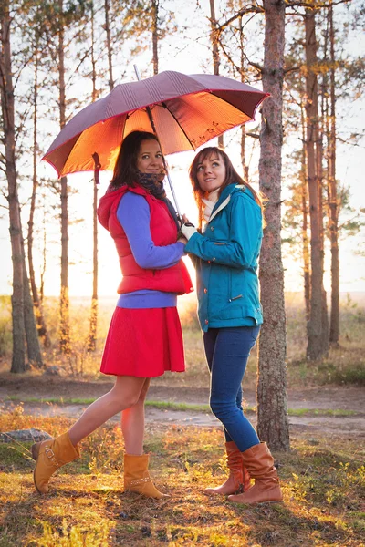 Jonge vrouw met paraplu in zonsondergang lichten in bos — Stockfoto