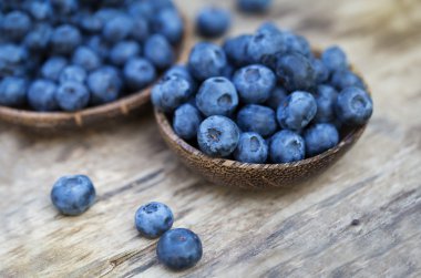 Bahçesinde lezzetli taze yaban mersini