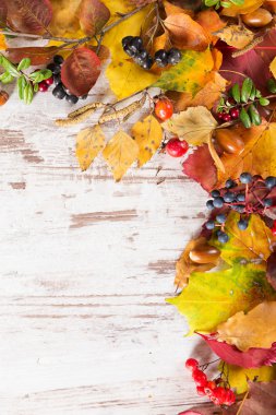 Sonbahar sonbahar yaprakları arka plan