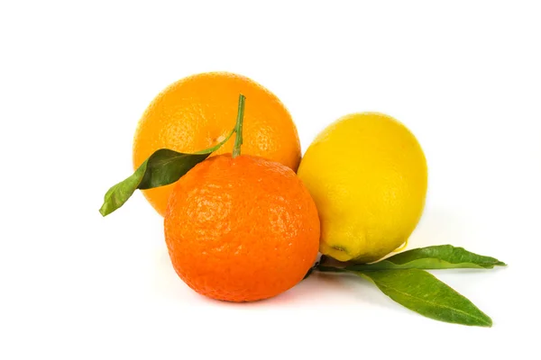 Färska citrusfrukter på vit — Stockfoto