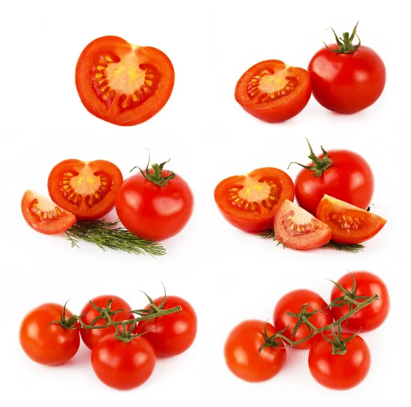 Set of tomato — Stock Photo, Image