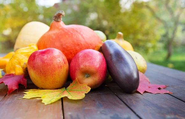 Autumn food crop vegetables — Stock Photo, Image