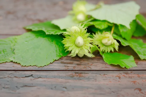 Hazelnoot op een houten achtergrond buiten — Stockfoto