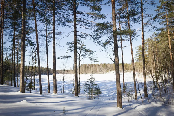 Russische winter meer in ijs en sneeuw — Stockfoto