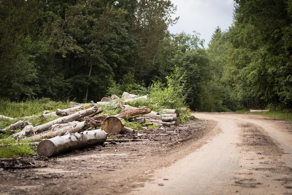 Deforestazione forestale per la città — Foto Stock