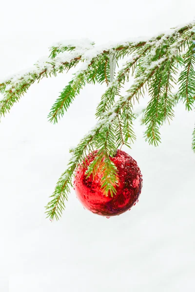 Christmas balls outdoors — Stock Photo, Image