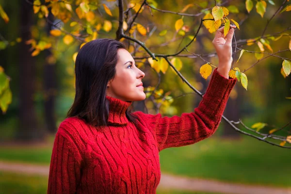 Jolie femme dans un parc d'automne — Photo