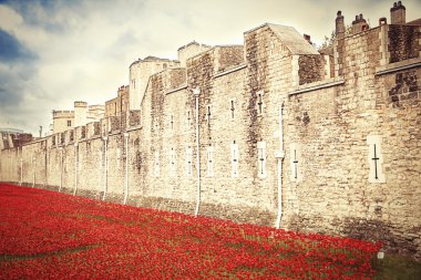 Seramik poppies, Londra Kulesi 12 Kasım 2014. Anma Günü. Tarafından Paul Cummins ve Tom boru seramik haşhaş yüklemesinde 11 Ekim 2014 anmak 1914 - 1918 Birinci Dünya Savaşı'nda ölen 888,246 İngiliz ve koloni askeri