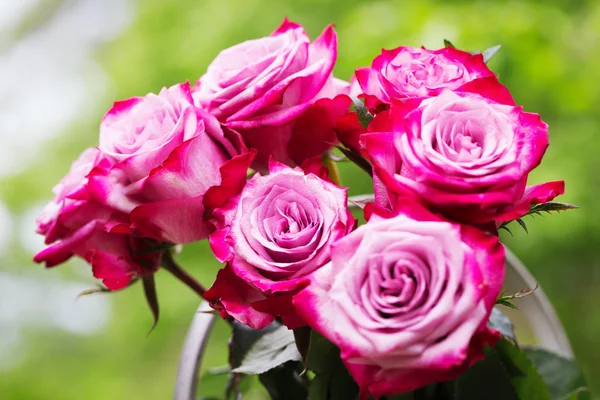Pink fresh roses on wooden background — Stock Photo, Image