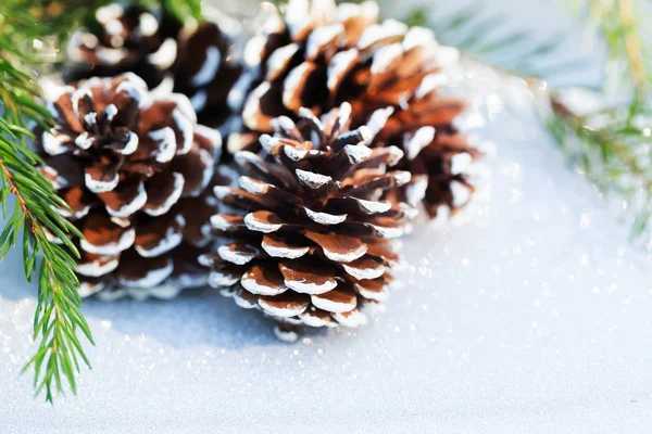 Composição de Natal com cone de pinho — Fotografia de Stock