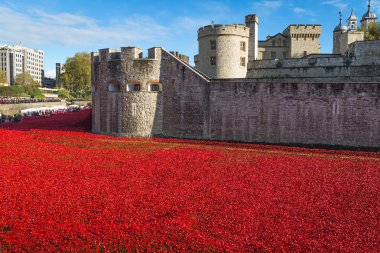 Tower of London 12 14 Kasım. Tarafından Paul Cummins ve Tom boru seramik haşhaş yüklemesinde 11 Ekim 2014 anmak 1914 - 1918 Birinci Dünya Savaşı'nda öldü 888,246 İngiliz ve koloni askeri