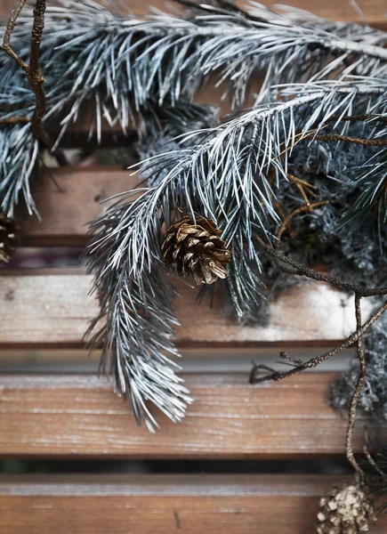 Komposition von Weihnachtskiefern — Stockfoto