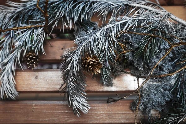 Komposition von Weihnachtskiefern — Stockfoto