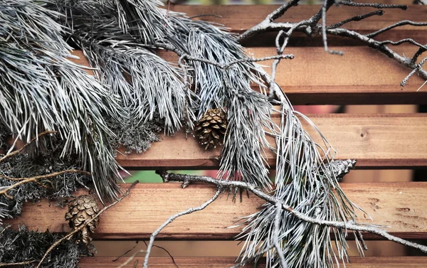 Komposition von Weihnachtskiefern — Stockfoto