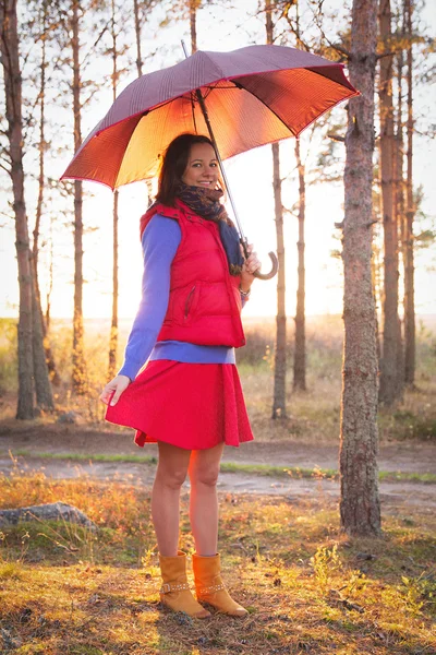 Junge Frau mit Regenschirm im Sonnenuntergang im Wald — Stockfoto